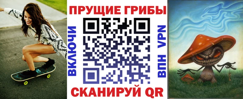 KRAKEN зеркало  Павловский Посад  Галлюциногенные грибы Magic Shrooms 